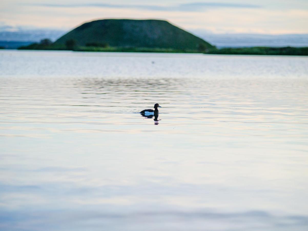 Myvo The Studio Apartment At Geiteyjarstroend 4 Reykjahlíð エクステリア 写真