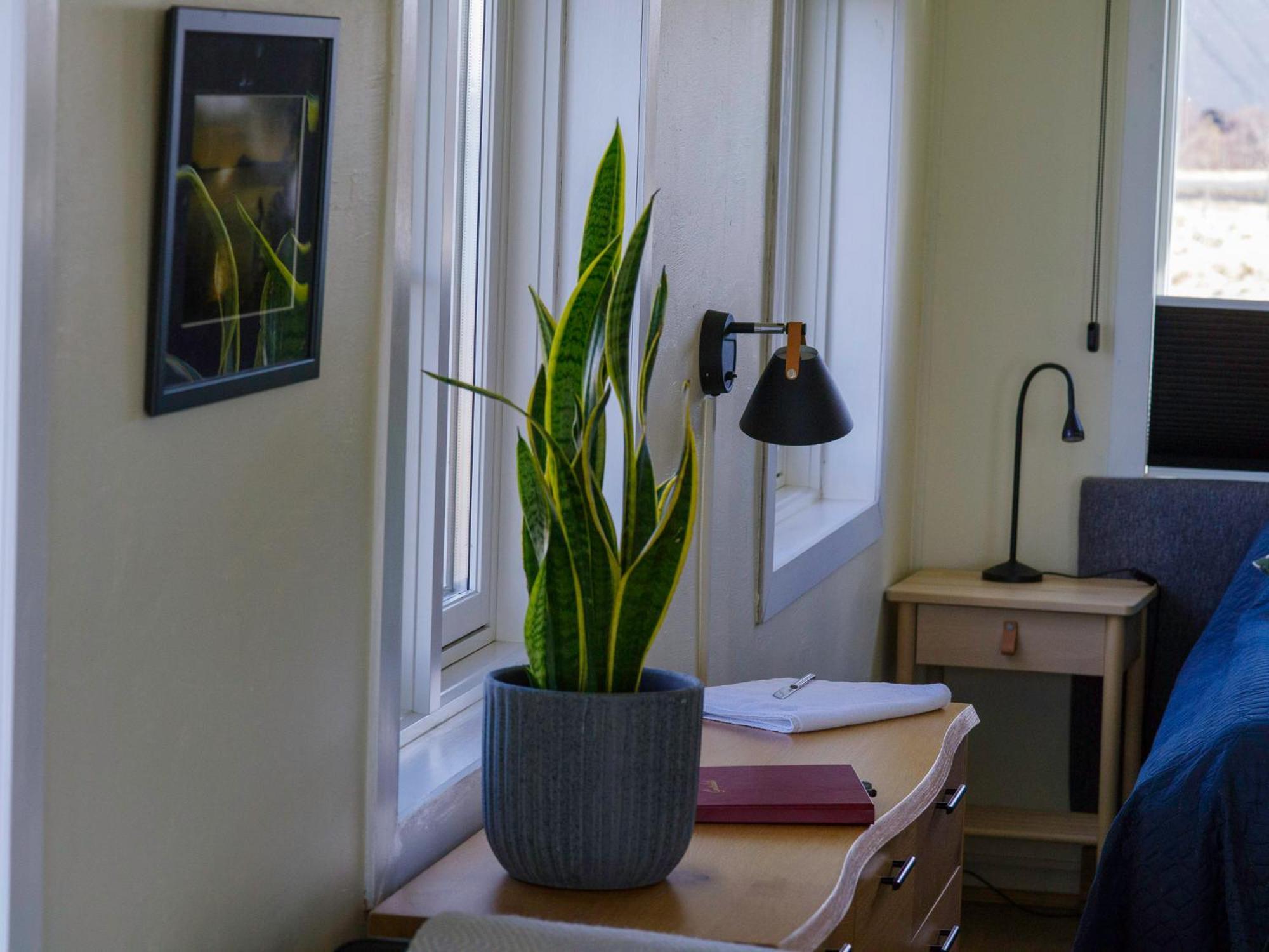 Myvo The Studio Apartment At Geiteyjarstroend 4 Reykjahlíð エクステリア 写真